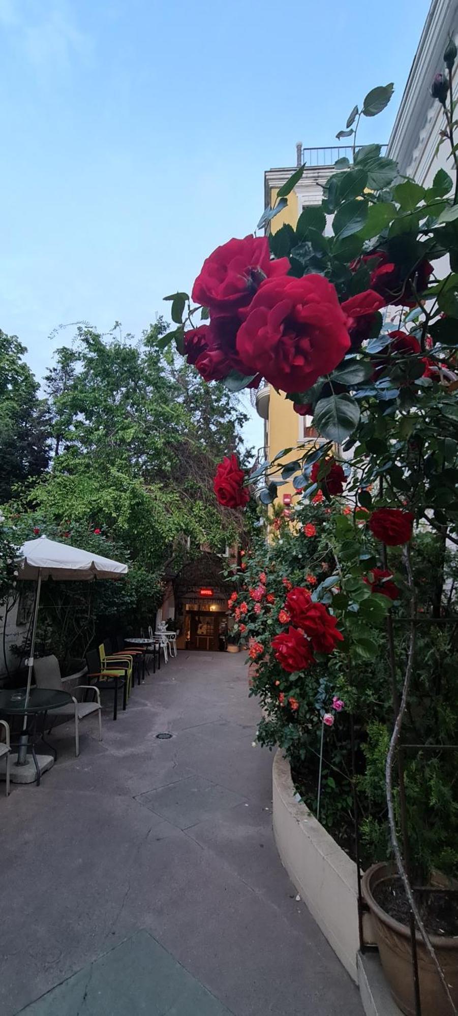 Casa Michelangelo Hotel Bukares Bagian luar foto